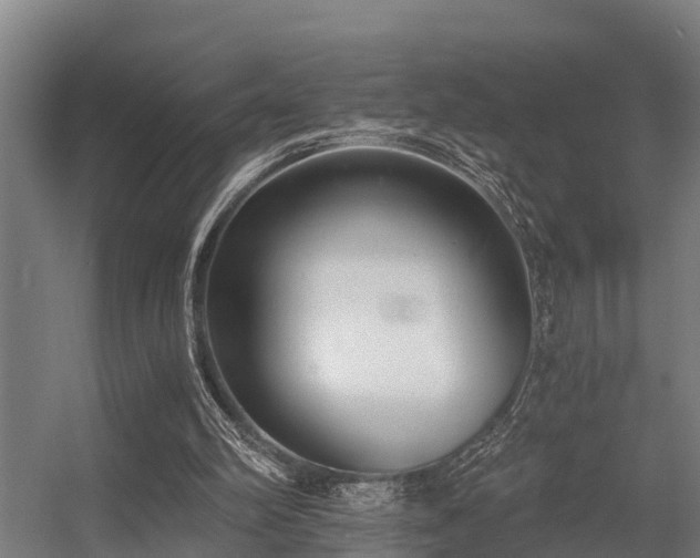 X0000056360102200509021758