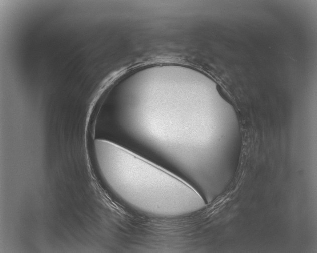 X0000056360104200509021758