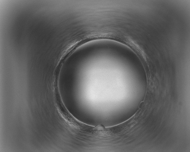 X0000056360107200509021758