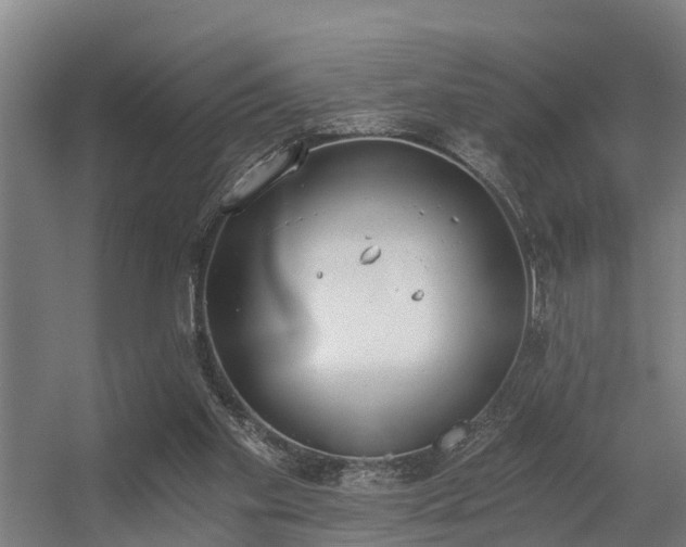 X0000056360109200509021758