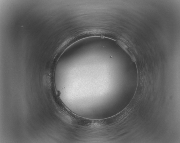 X0000056360111200509021758