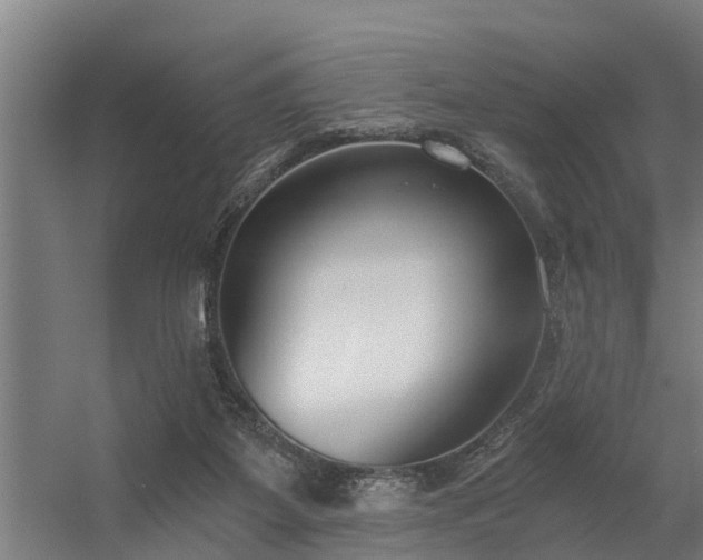 X0000056360115200509021758