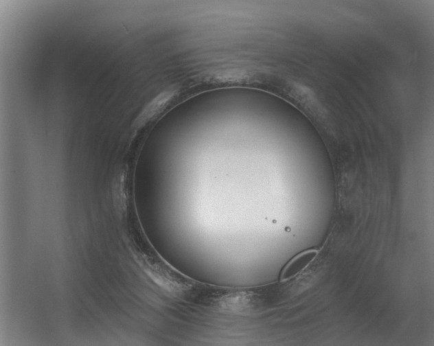 X0000056360116200509021758