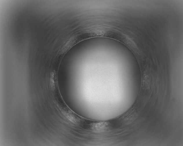 X0000056360122200509021758