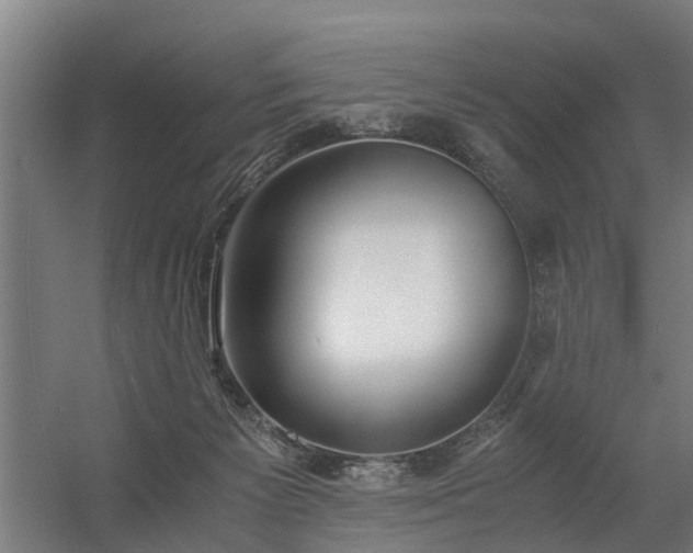 X0000056360125200509021758