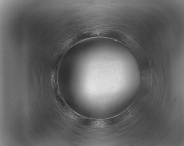 X0000056360127200509021758