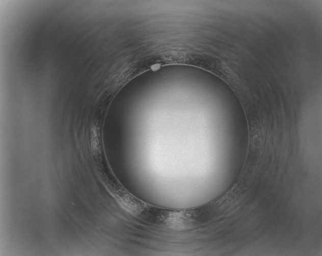 X0000056360130200509021758