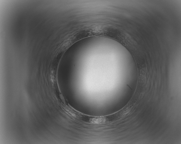 X0000056360135200509021758