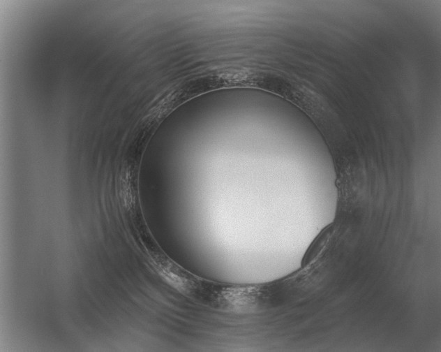 X0000056360136200509021758