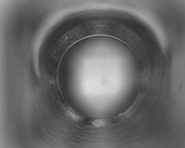 X0000056360142200509021758