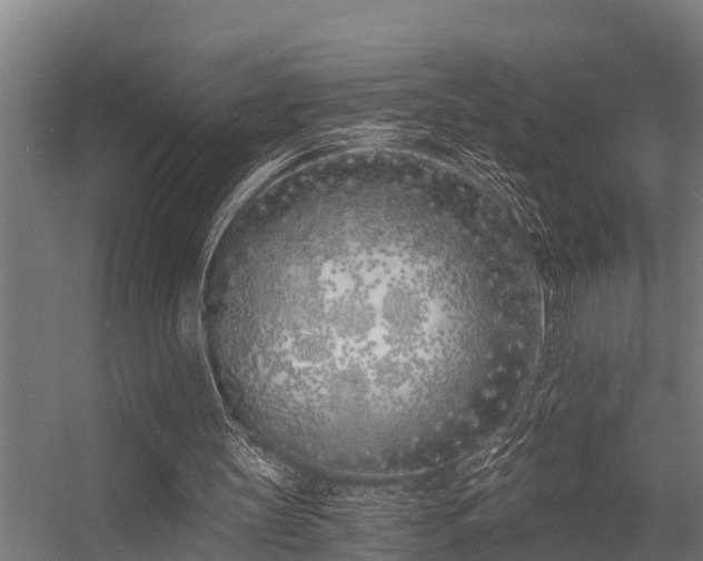 X0000056360147200509021757