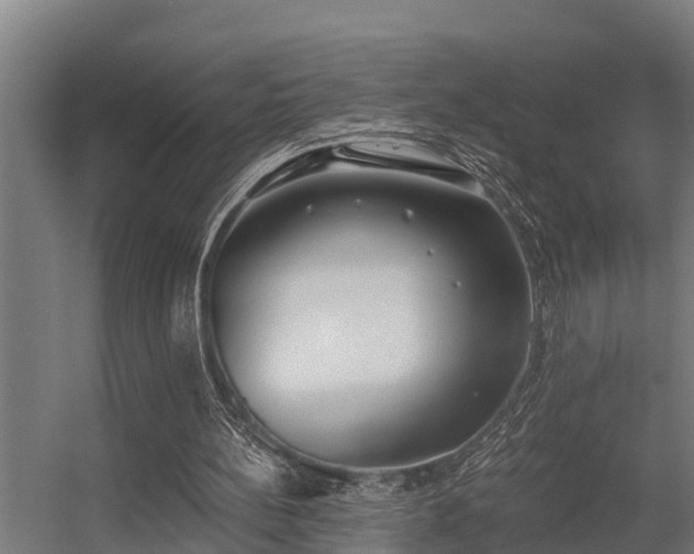 X0000056360148200509021757