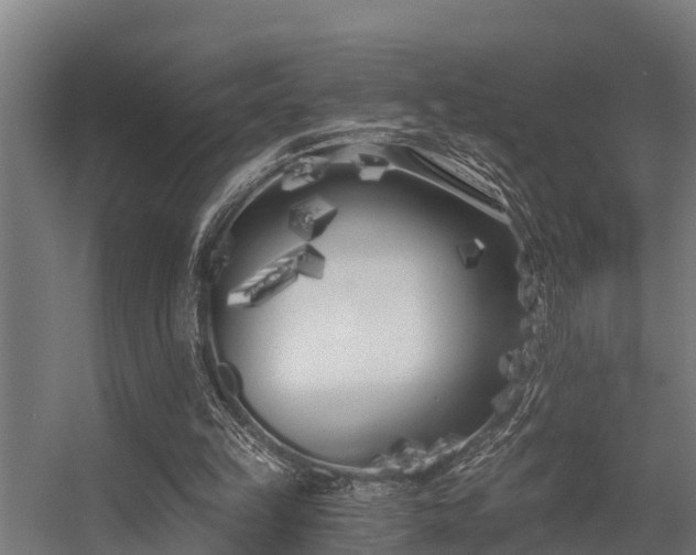 X0000056360149200509021757