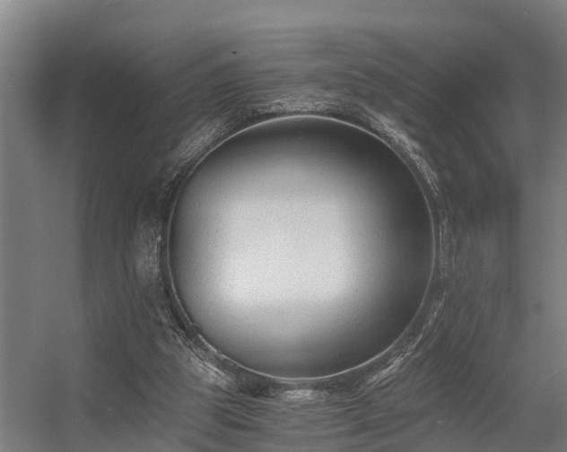 X0000056360153200509021757