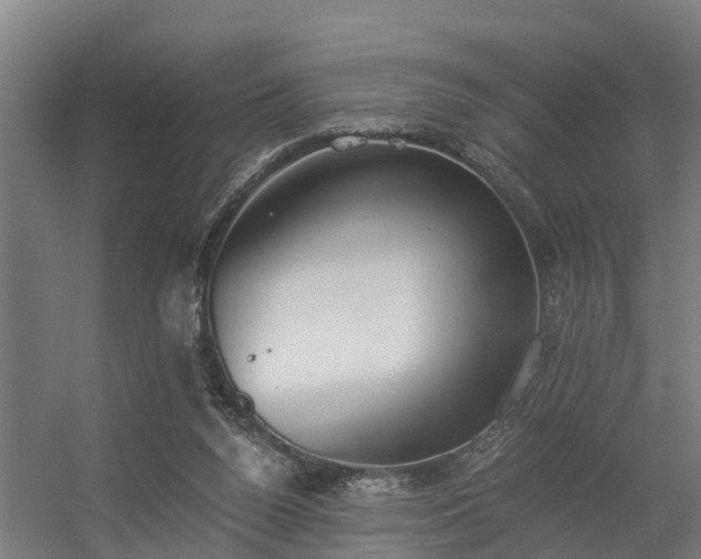 X0000056360160200509021757