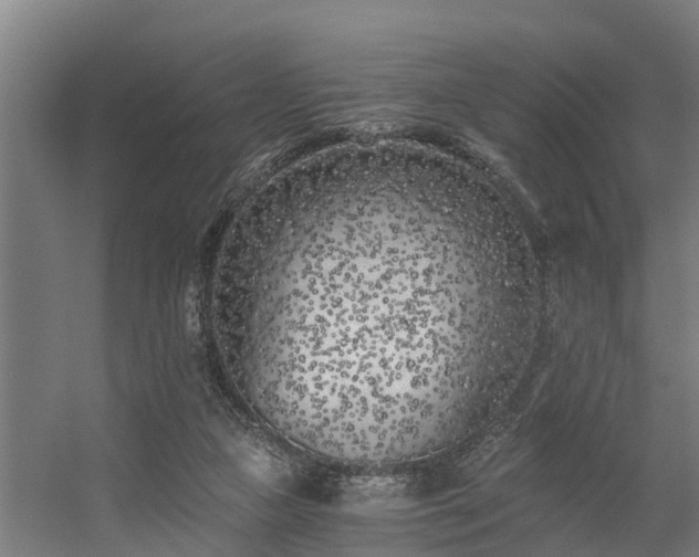 X0000056360161200509021757