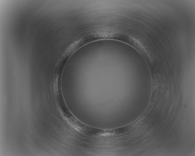 X0000056360163200509021757