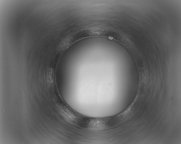 X0000056360174200509021757