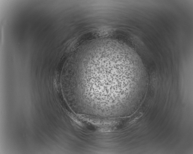 X0000056360181200509021757