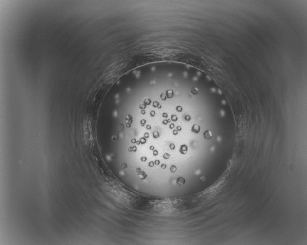 X0000056360182200509021757