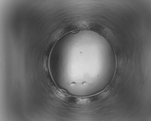 X0000056360185200509021757