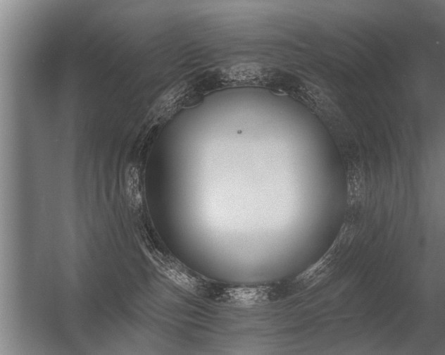 X0000056360187200509021758