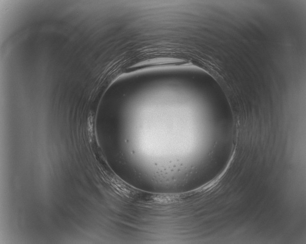 X0000056360190200509021758