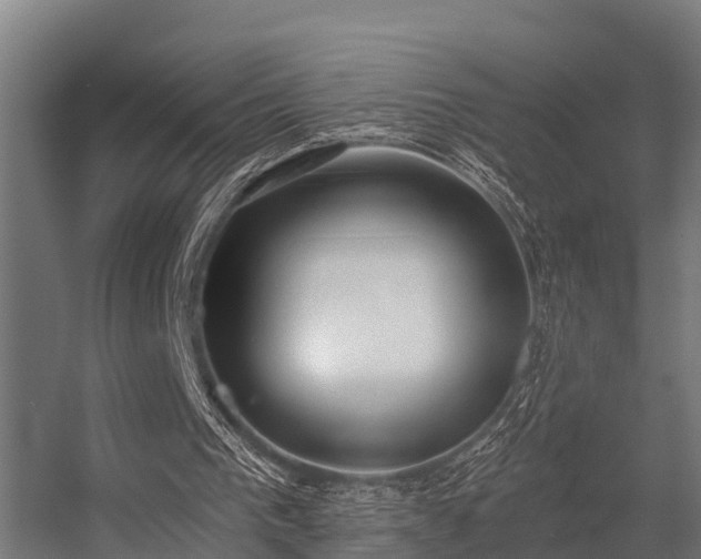 X0000056360193200509021757