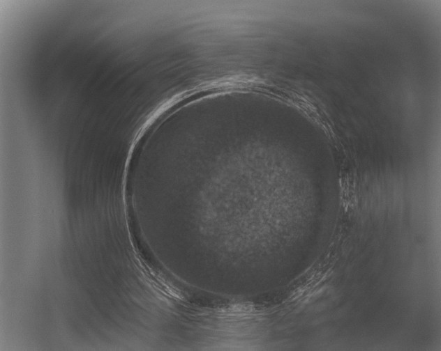 X0000056360196200509021757