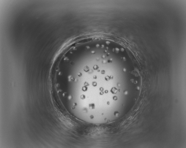 X0000056360198200509021757