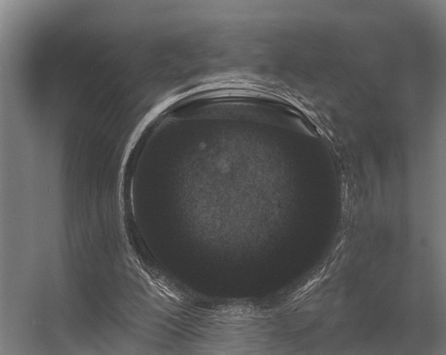 X0000056360200200509021757