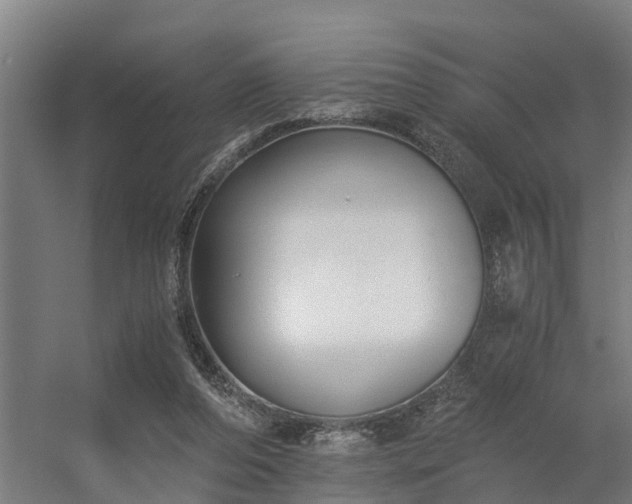 X0000056360208200509021757