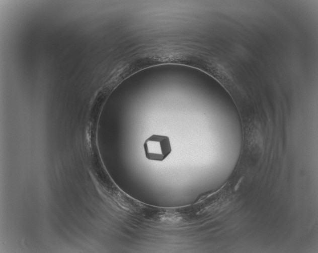 X0000056360214200509021756