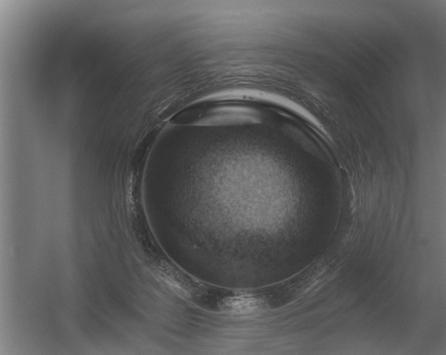 X0000056360219200509021756