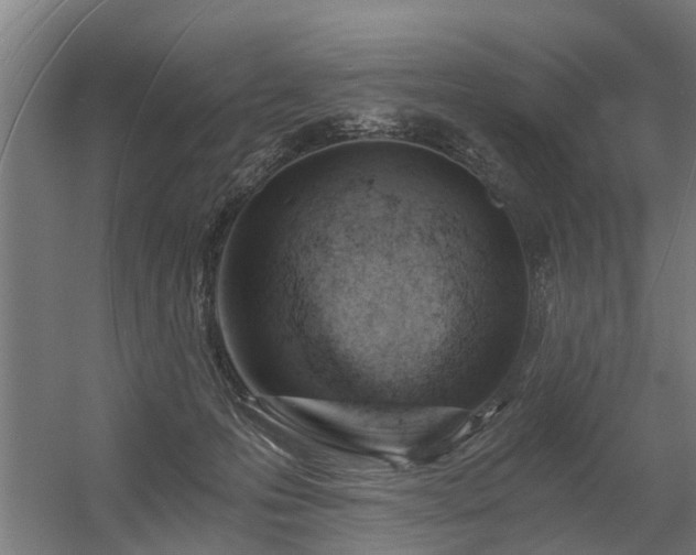 X0000056360223200509021756