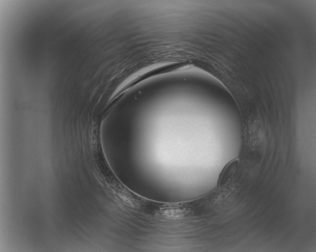 X0000056360228200509021756