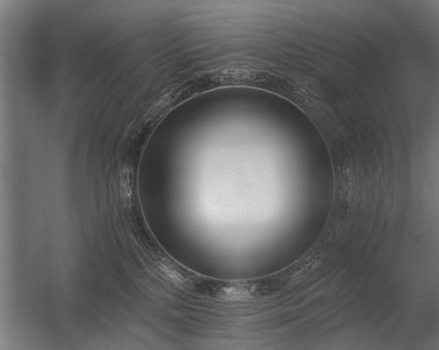 X0000056360232200509021756