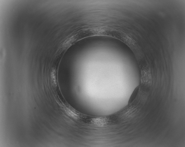 X0000056360238200509021756