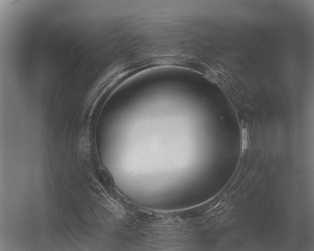 X0000056360243200509021755