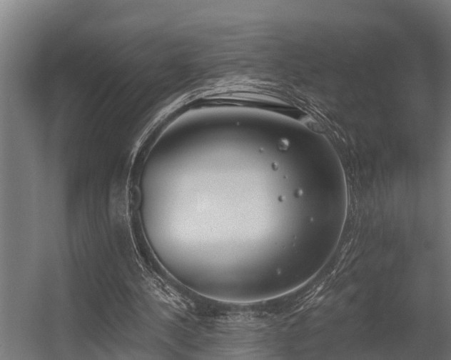 X0000056360244200509021755