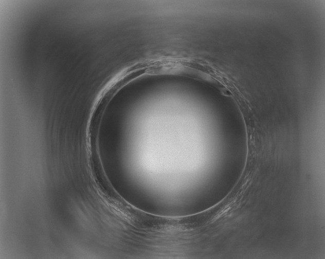 X0000056360246200509021755