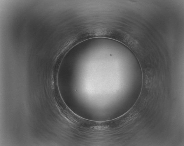 X0000056360251200509021755