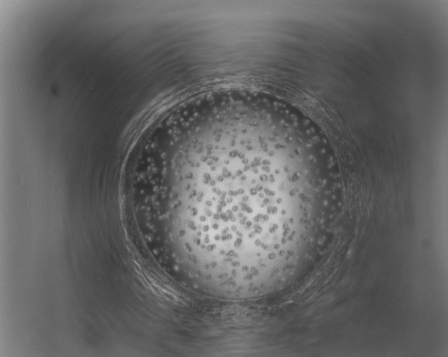 X0000056360290200509021755