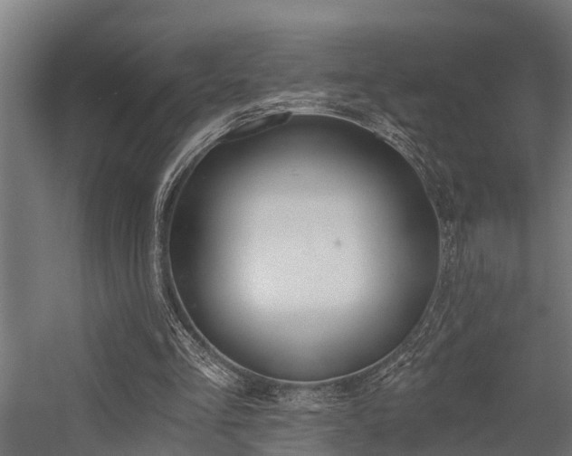 X0000056360293200509021755