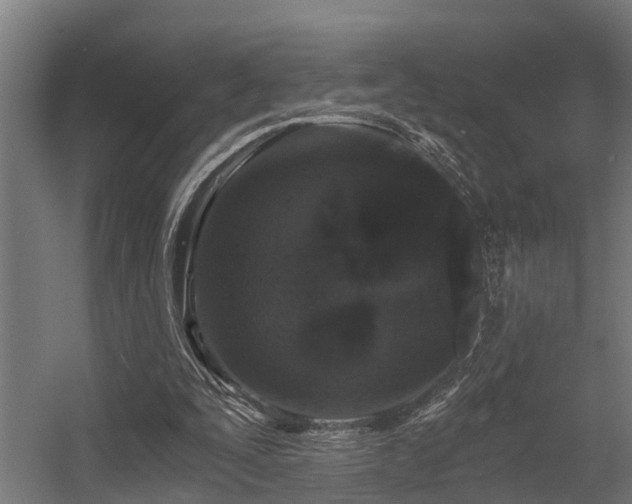 X0000056360295200509021755