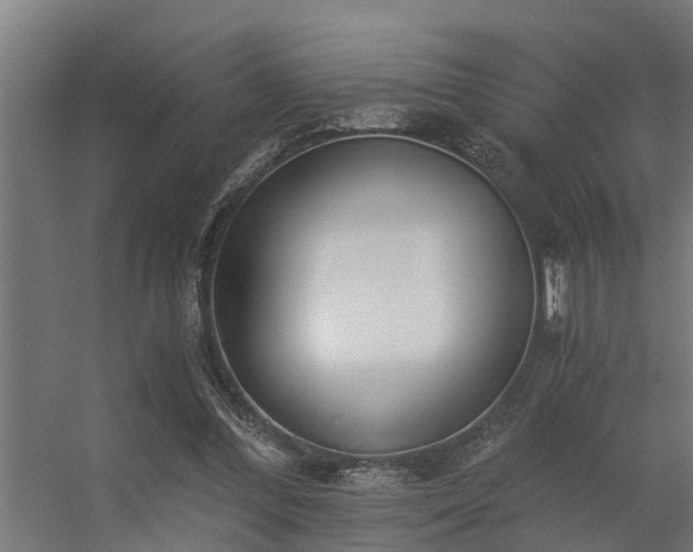 X0000056360300200509021755