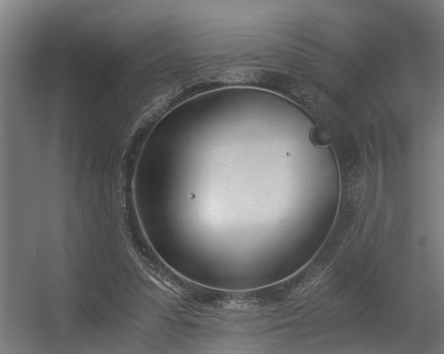 X0000056360303200509021755