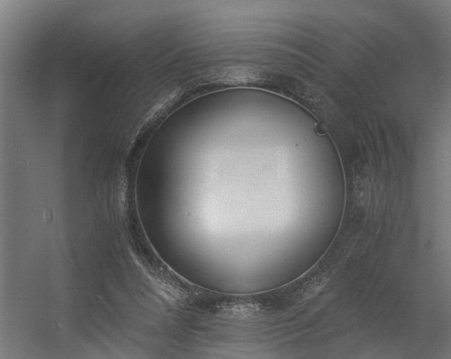 X0000056360304200509021755