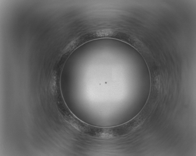 X0000056360308200509021755