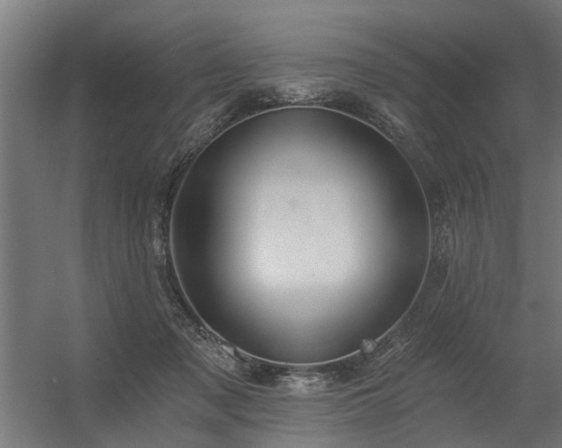 X0000056360317200509021755